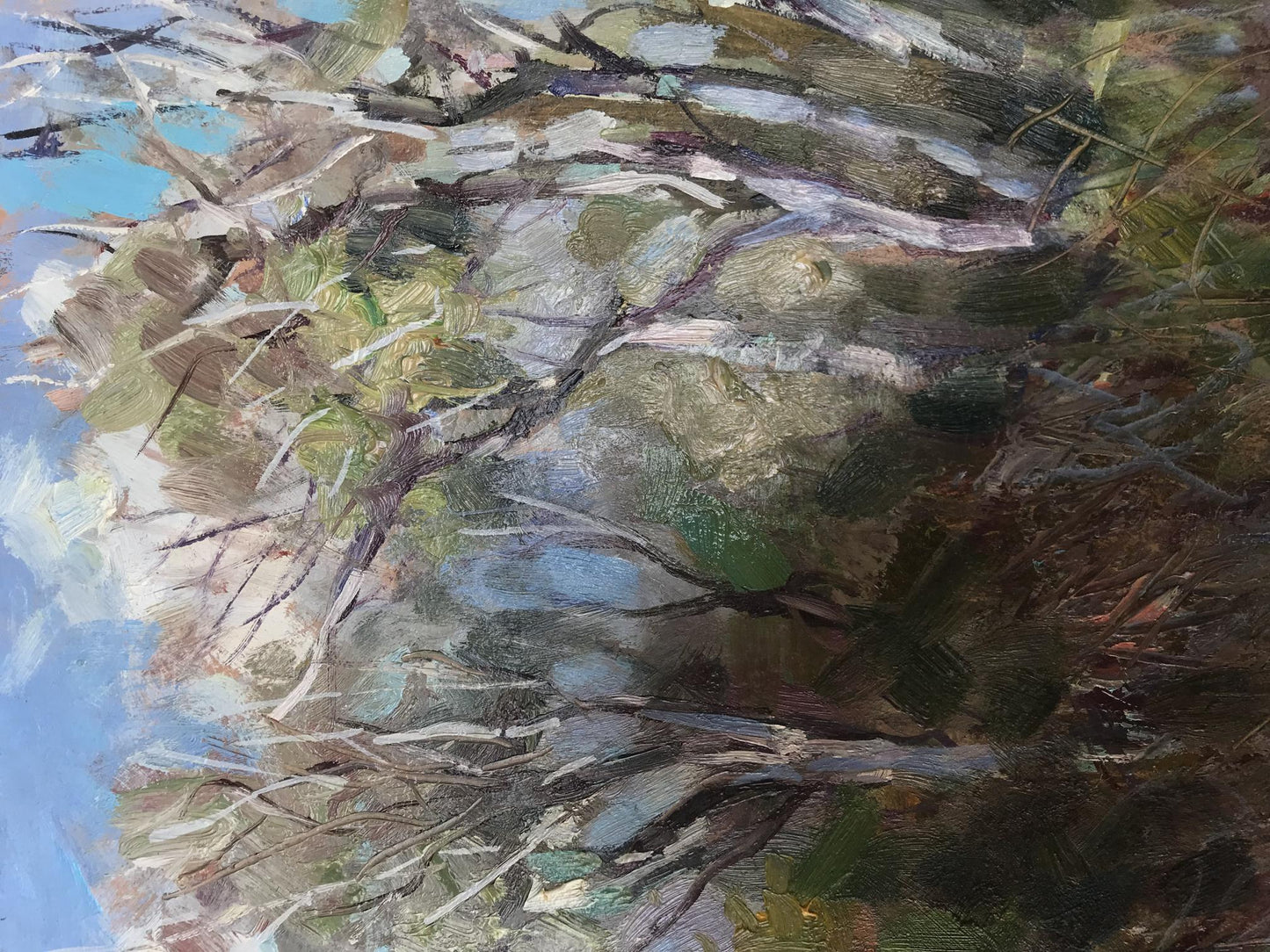 Oil painting Old forest Kuzeminsky Nikolay Borisovich