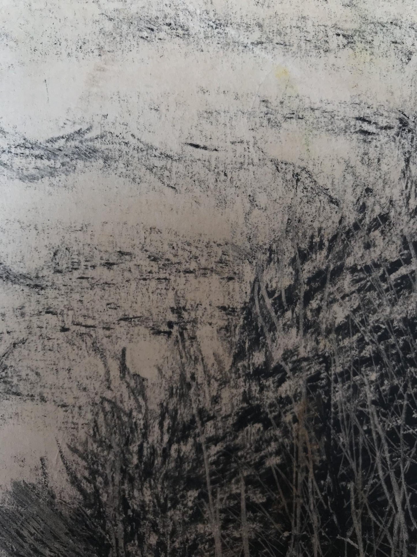 Graphic painting Winter forest Unknown artist
