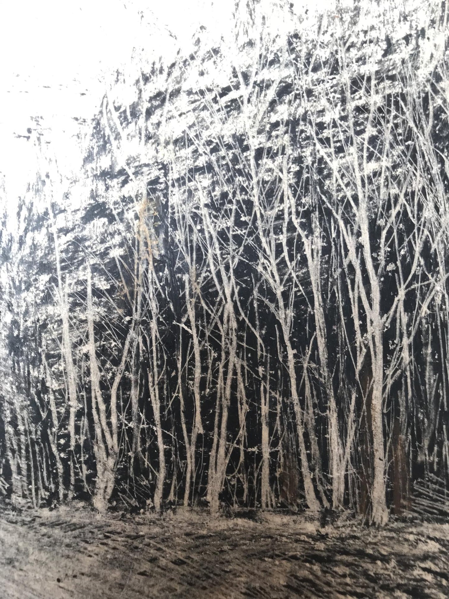 Graphic painting Winter forest Unknown artist