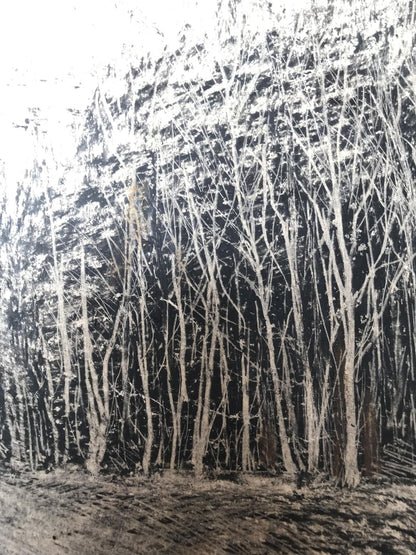 Graphic painting Winter forest Unknown artist