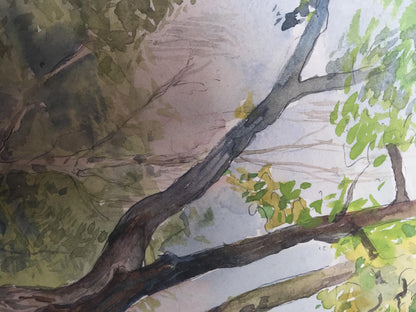 Watercolor painting Nature Landscape 