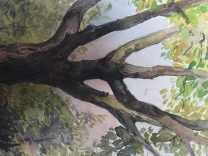 Watercolor painting Landscape 