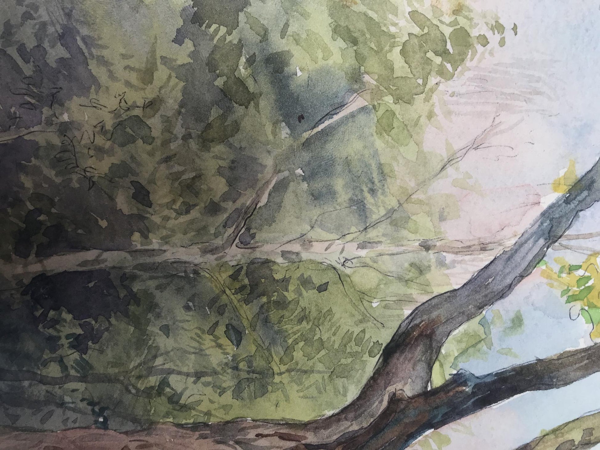 Watercolor painting Forest Nature Landscape 