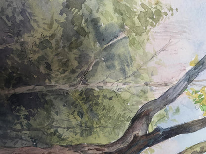Watercolor painting Forest Nature Landscape 
