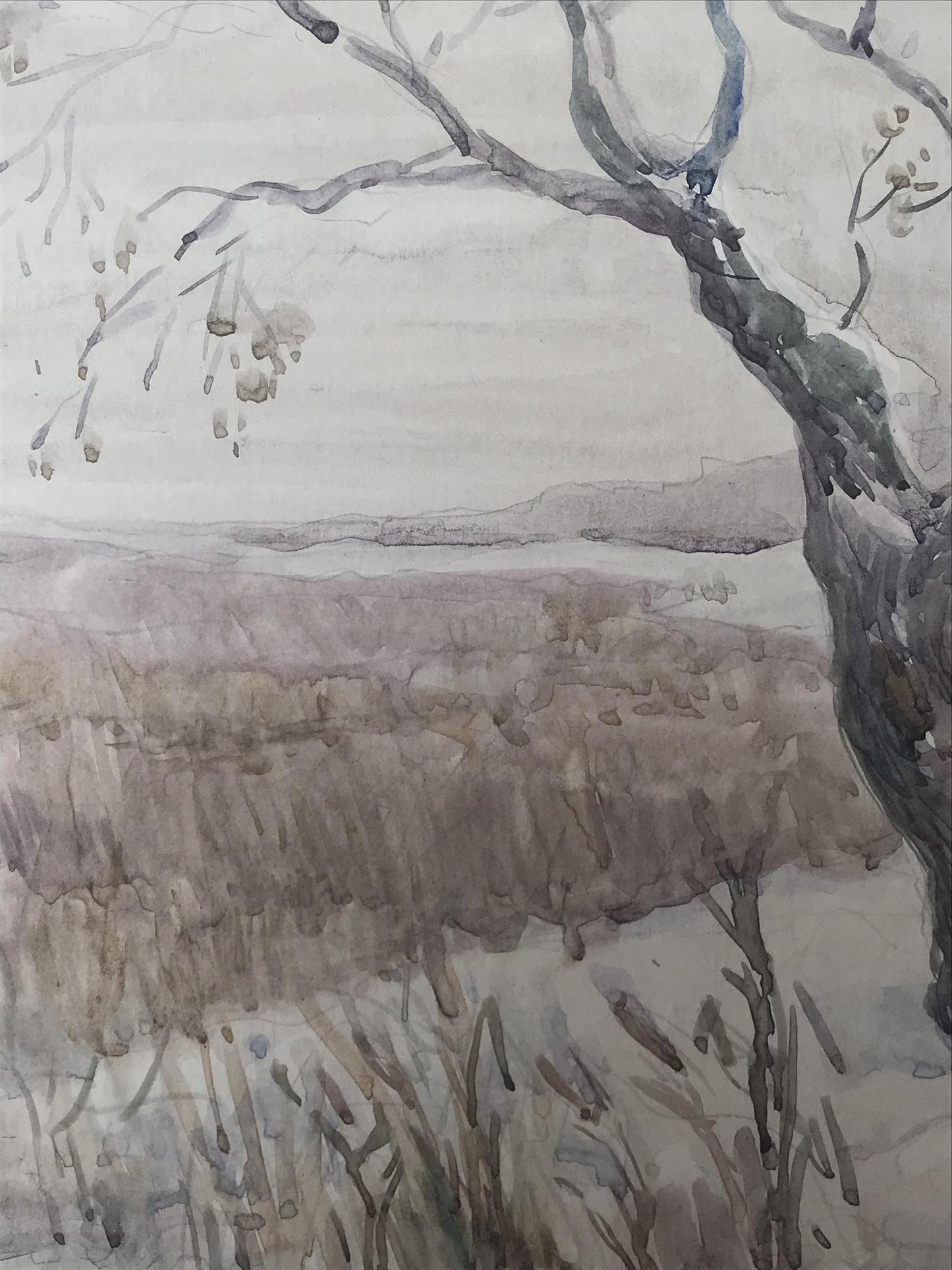 Watercolor painting Landscape 
