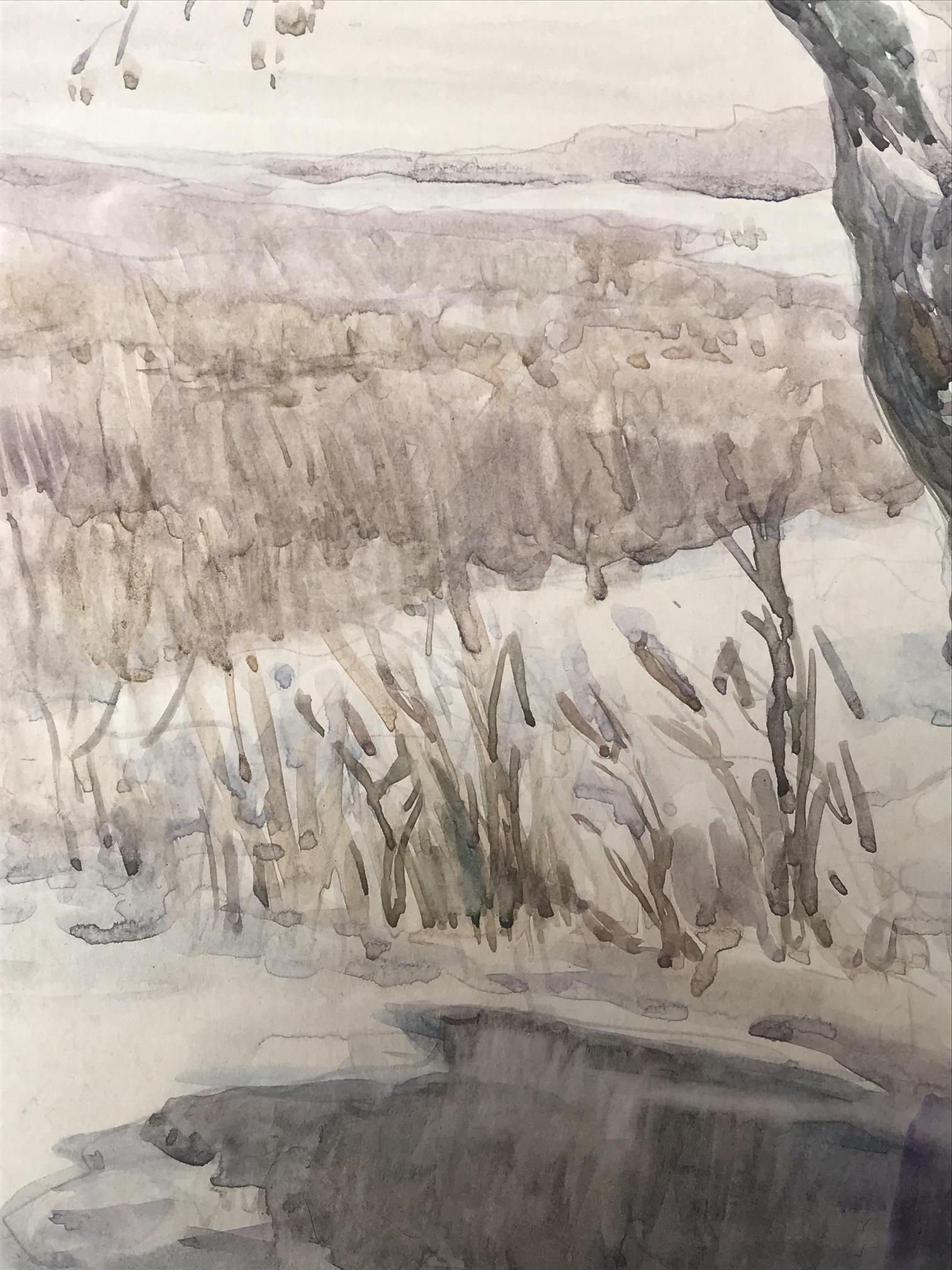 Winter Landscape 