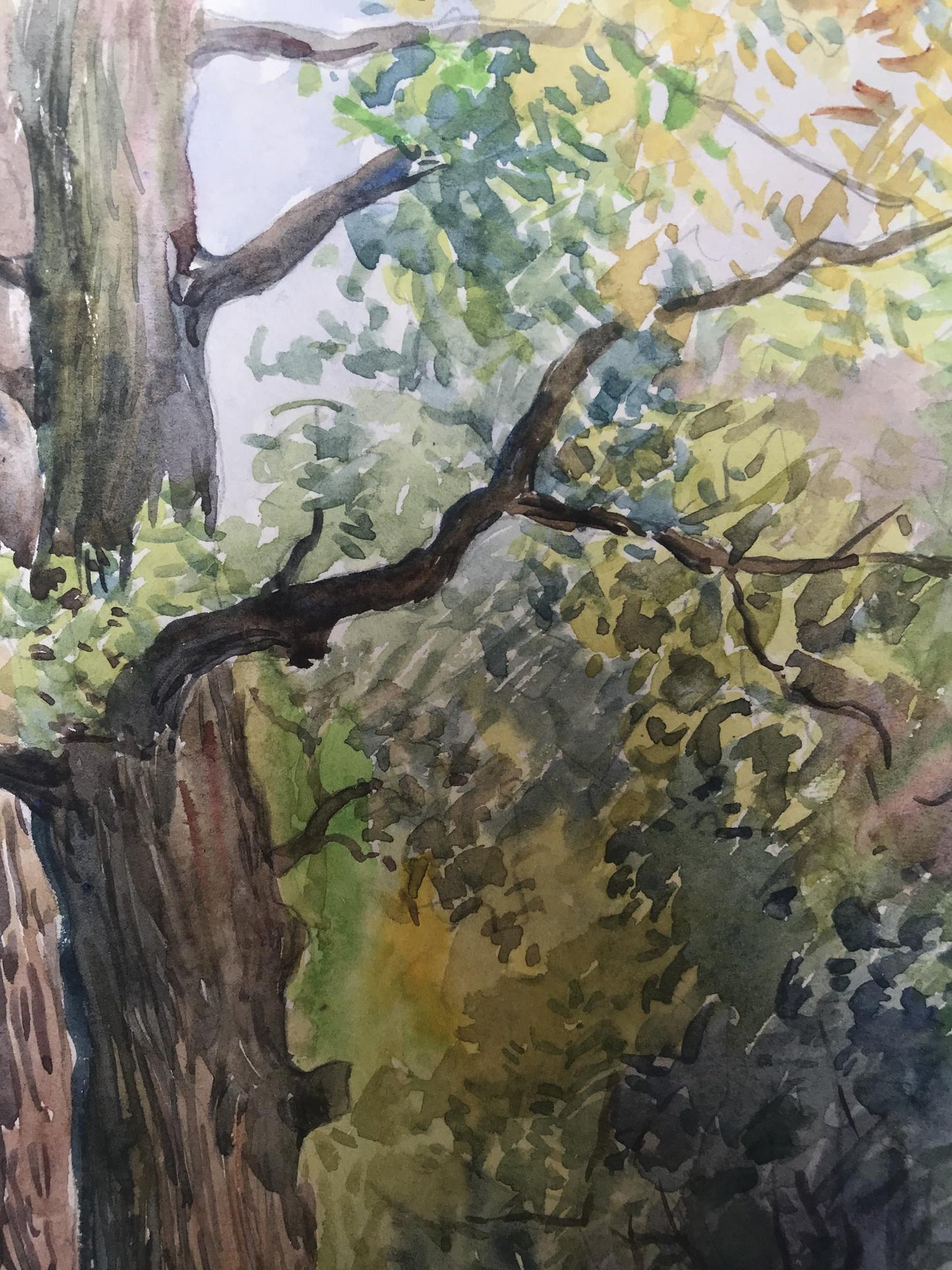 Watercolor painting Forest Nature Landscape 