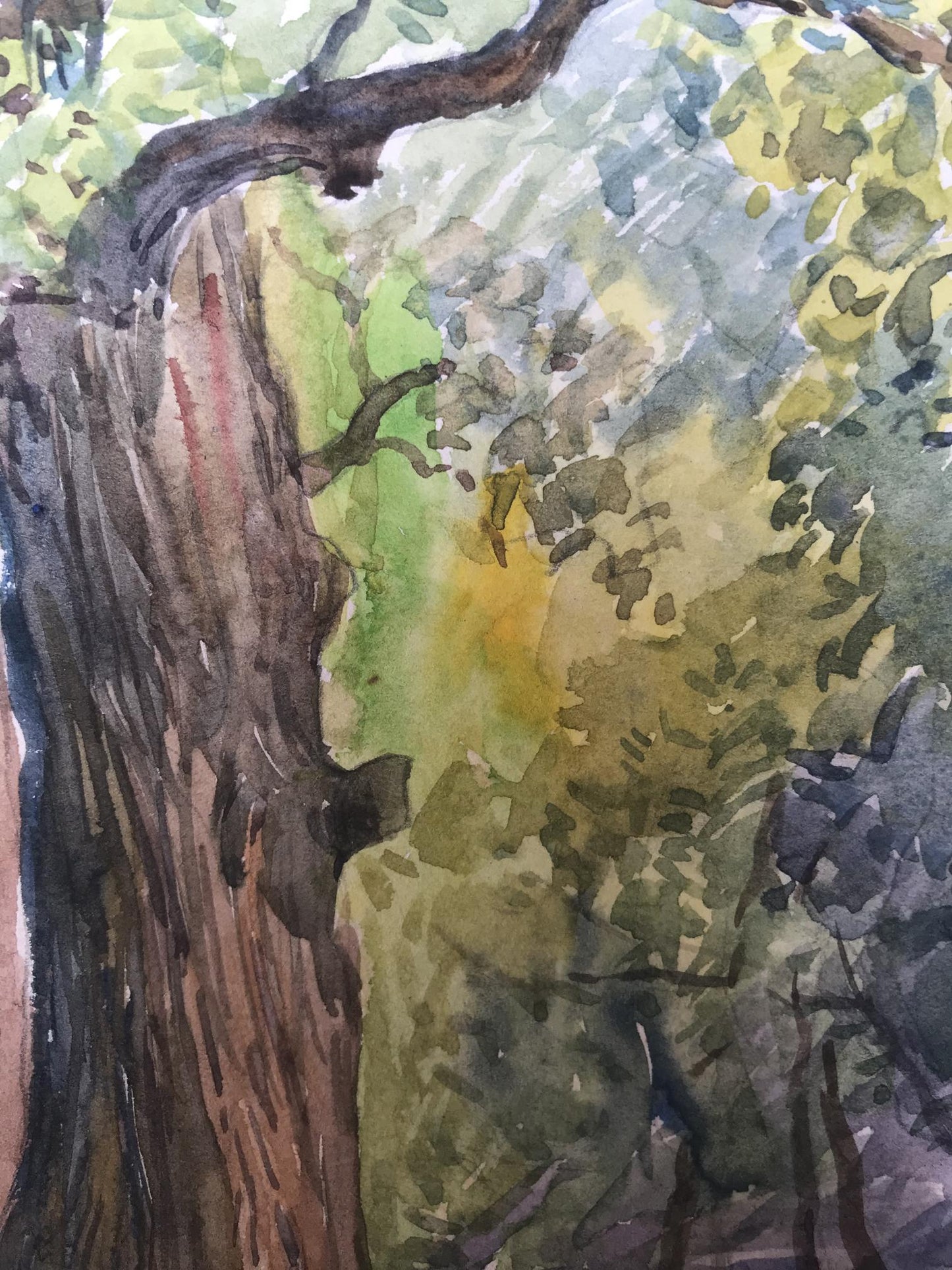 Summer Forest landscape