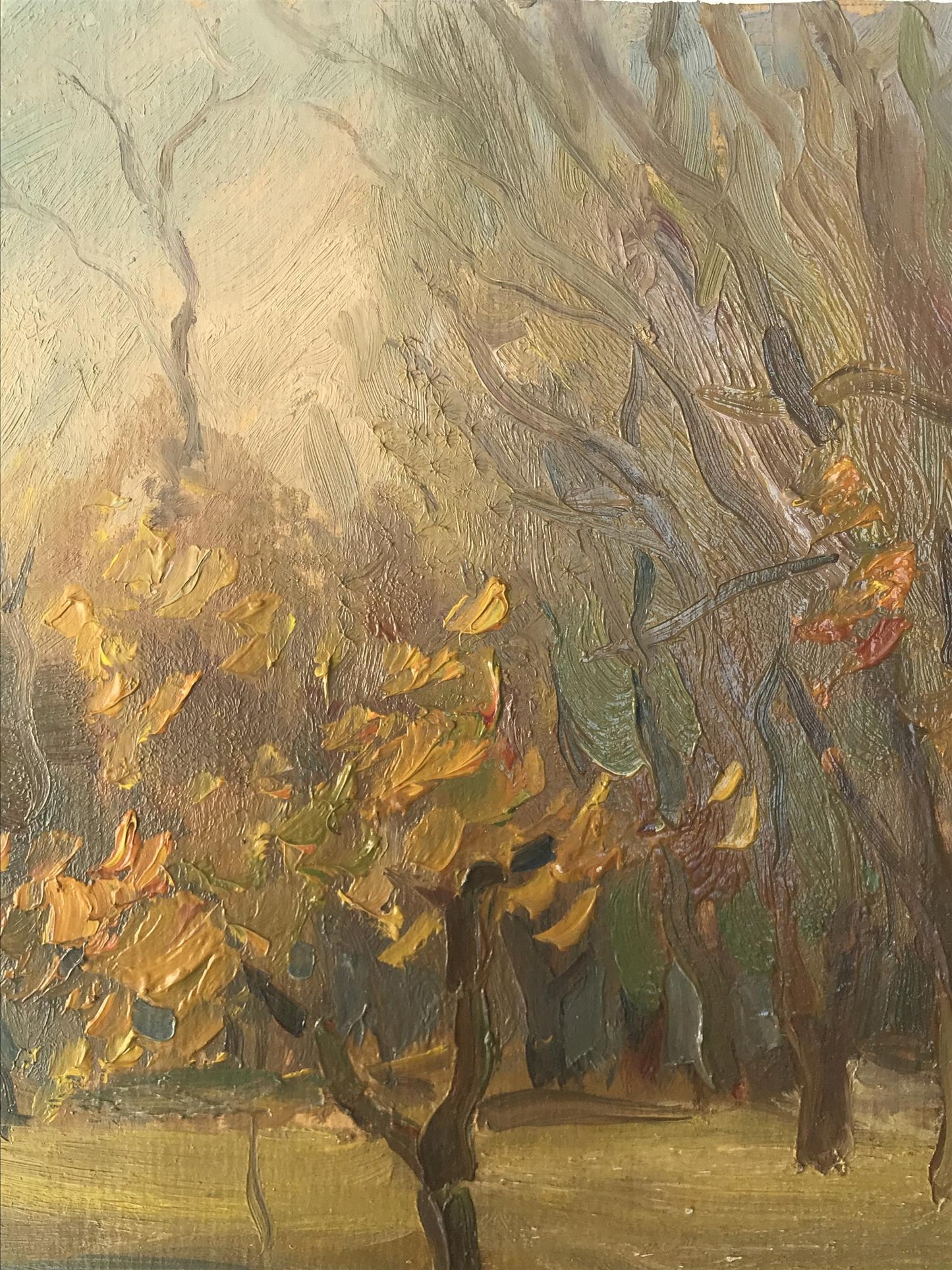 Oil painting Autumn forest Unknown artist