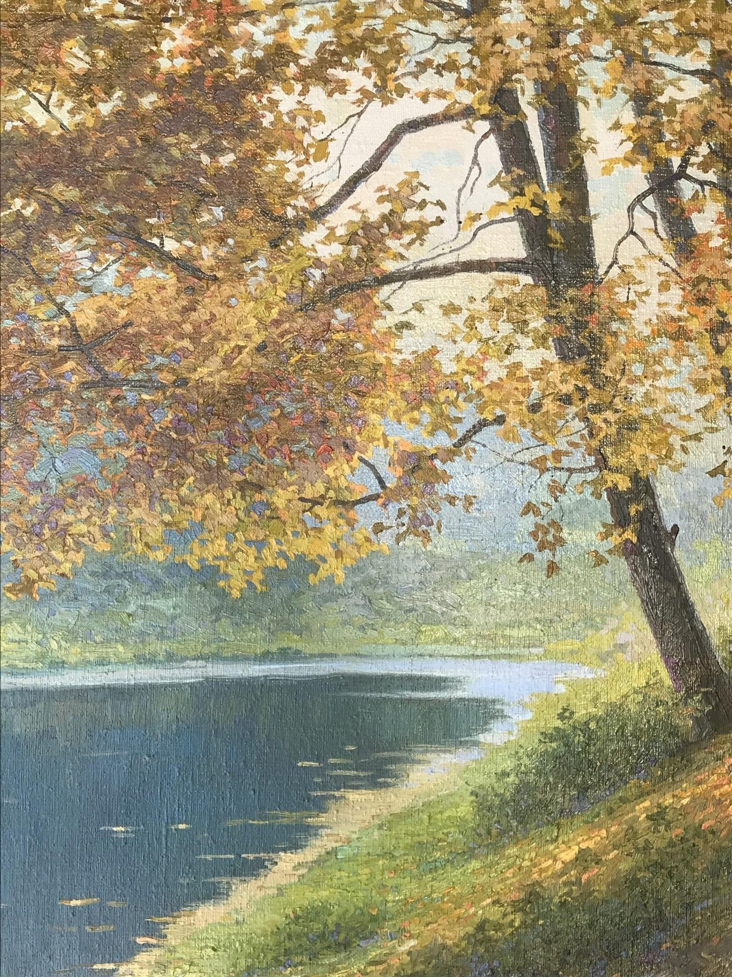 Oil painting Wonderful outdoor recreation Gerashchenko Volodymyr Fedorovich