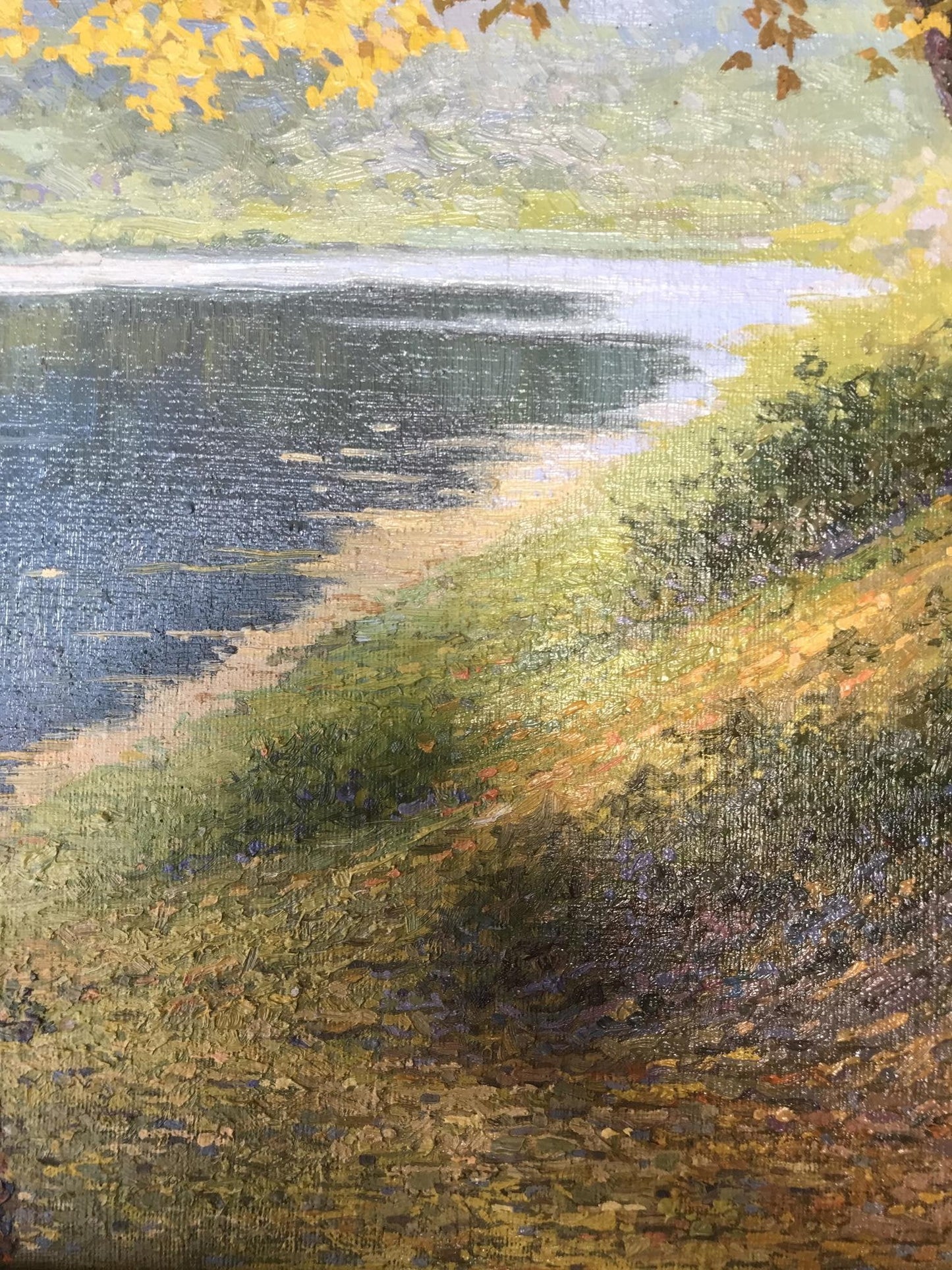 Oil painting Wonderful outdoor recreation Gerashchenko Volodymyr Fedorovich