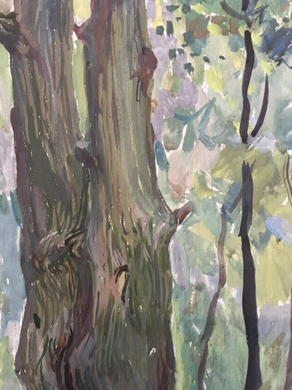 Forest Summer Landscape 