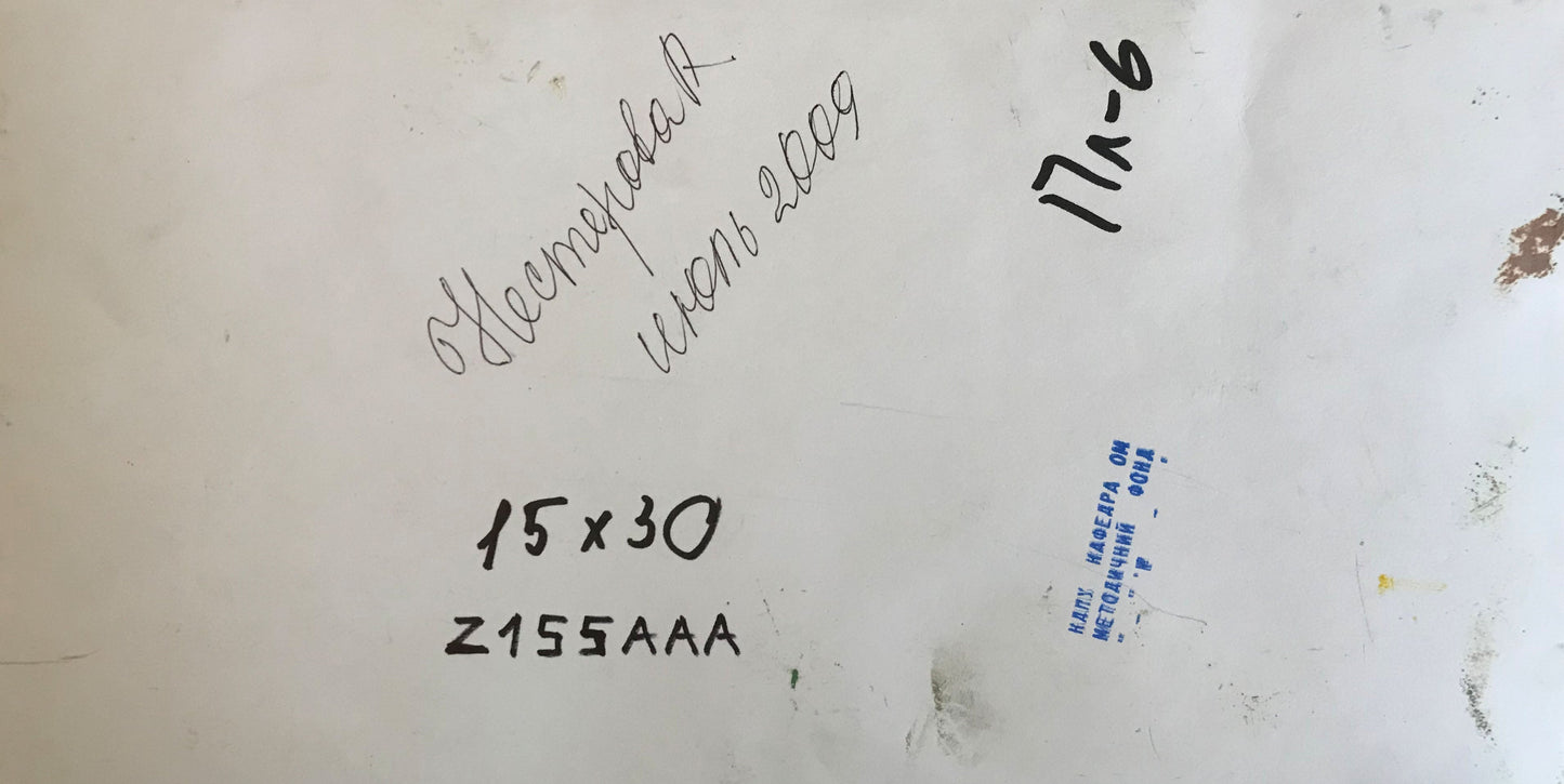 Oil painting City Park Nesterova A.