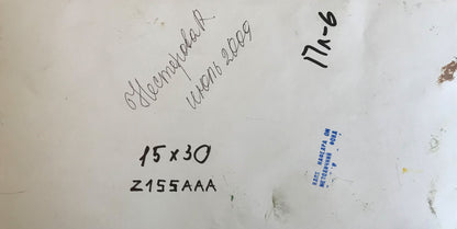 Oil painting City Park Nesterova A.