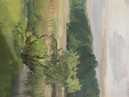 Spring River 