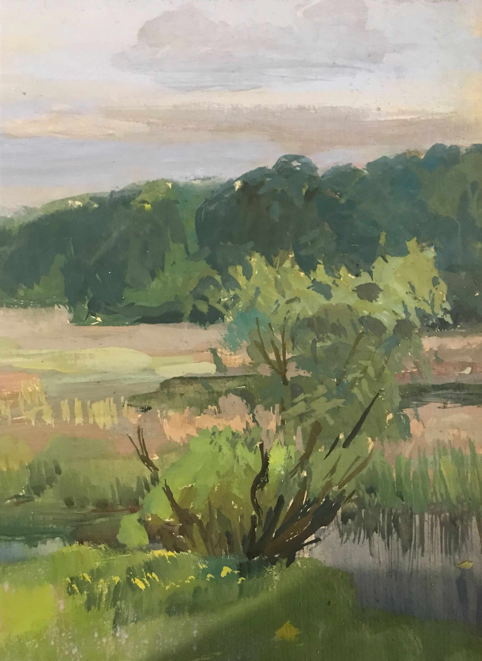 Spring countryside