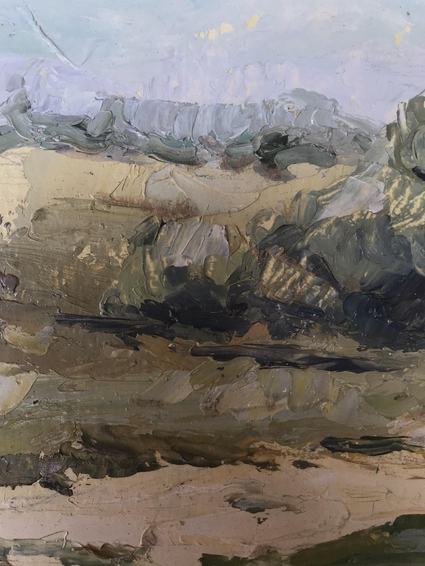 Oil painting After the rain Kravtsov O.