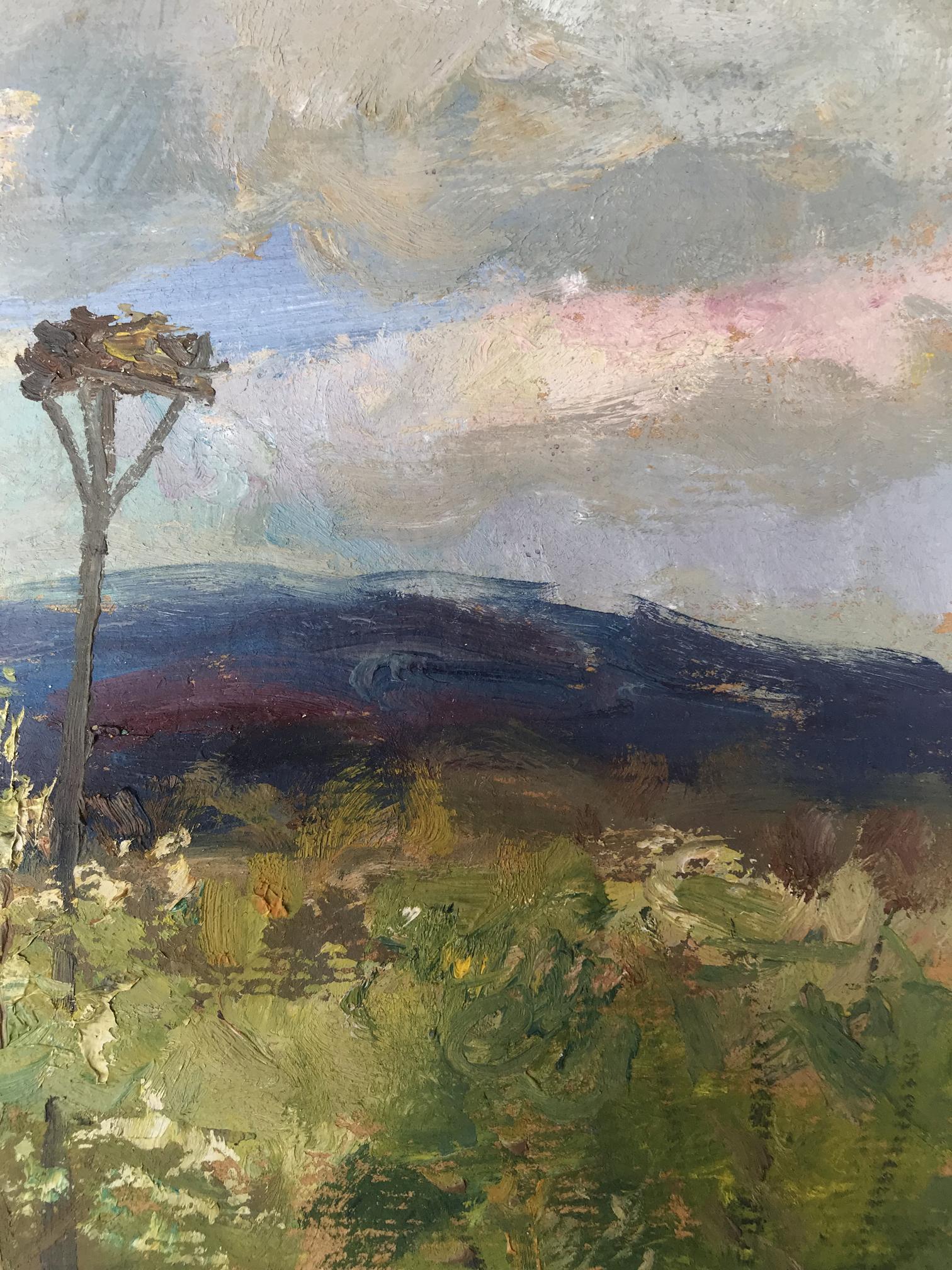 Rural landscape 