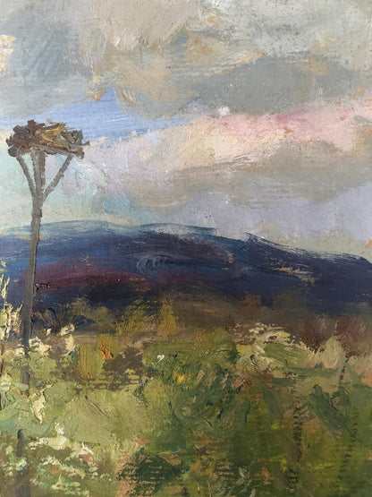 Rural landscape 