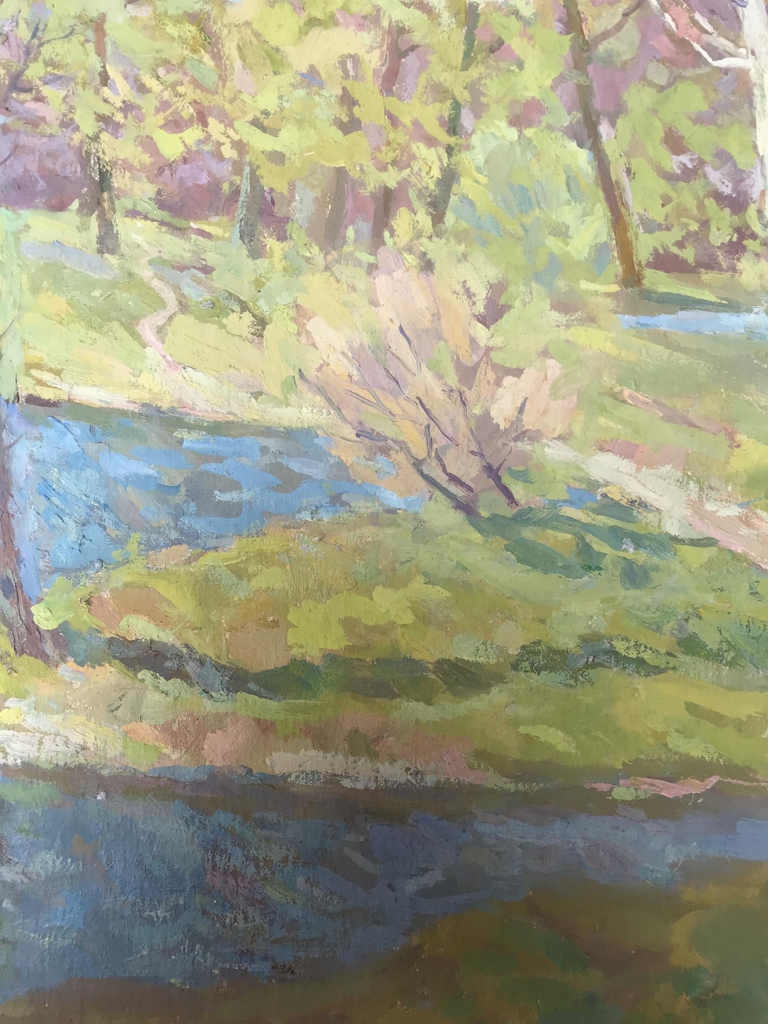 Forest Nature Landscape 