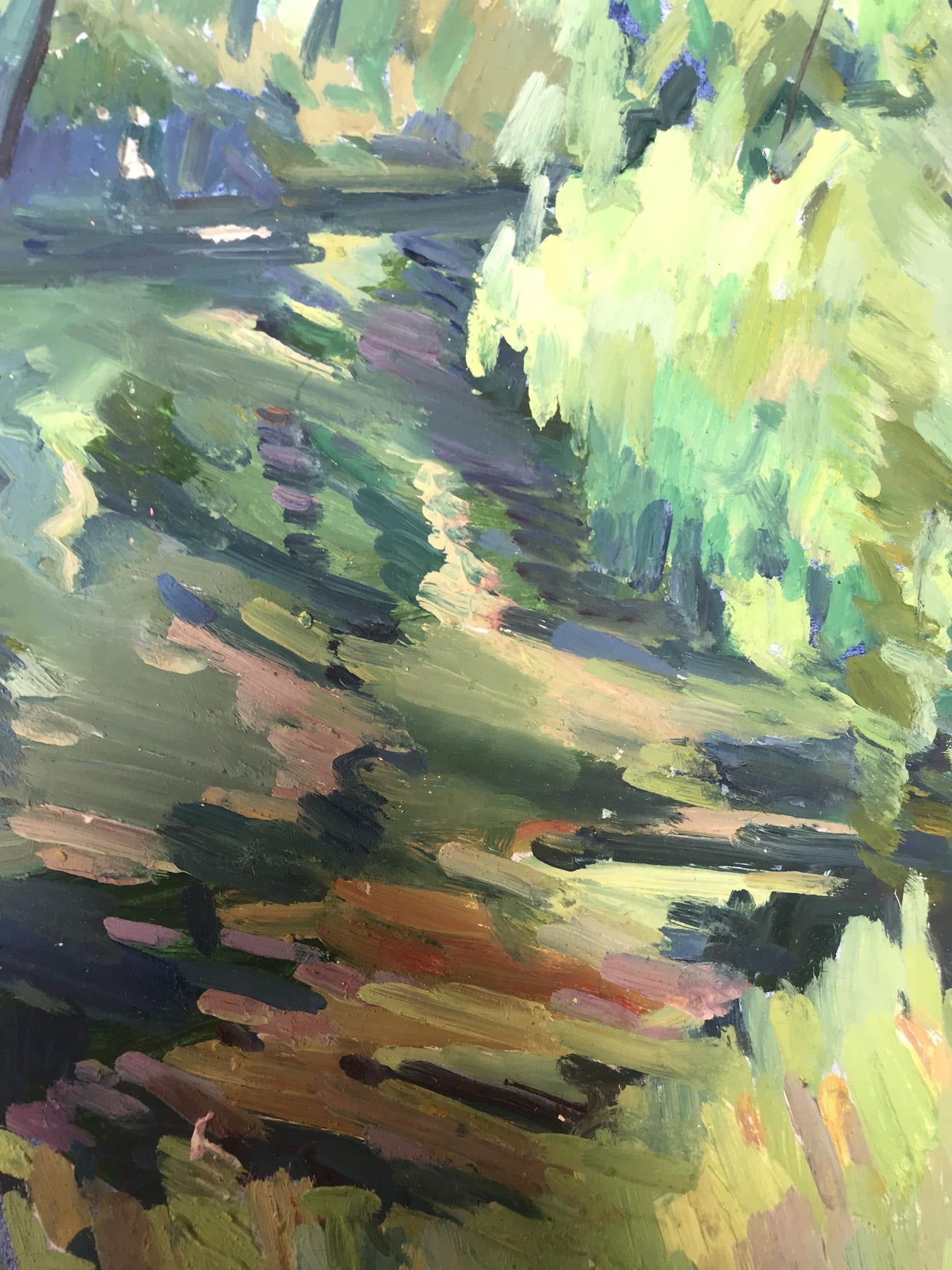 Summer Forest 