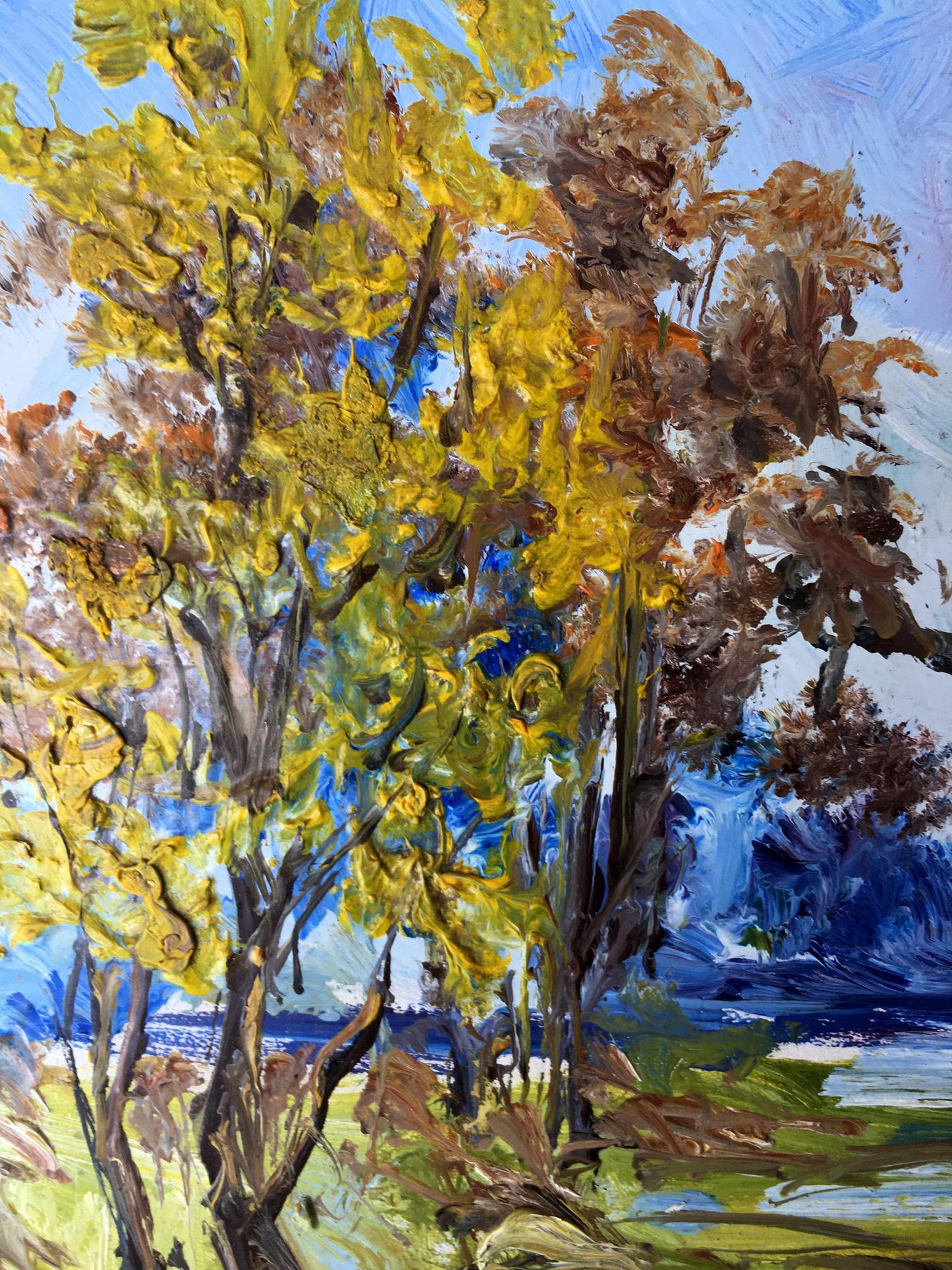 Oil painting Rest at nature Unknown artist