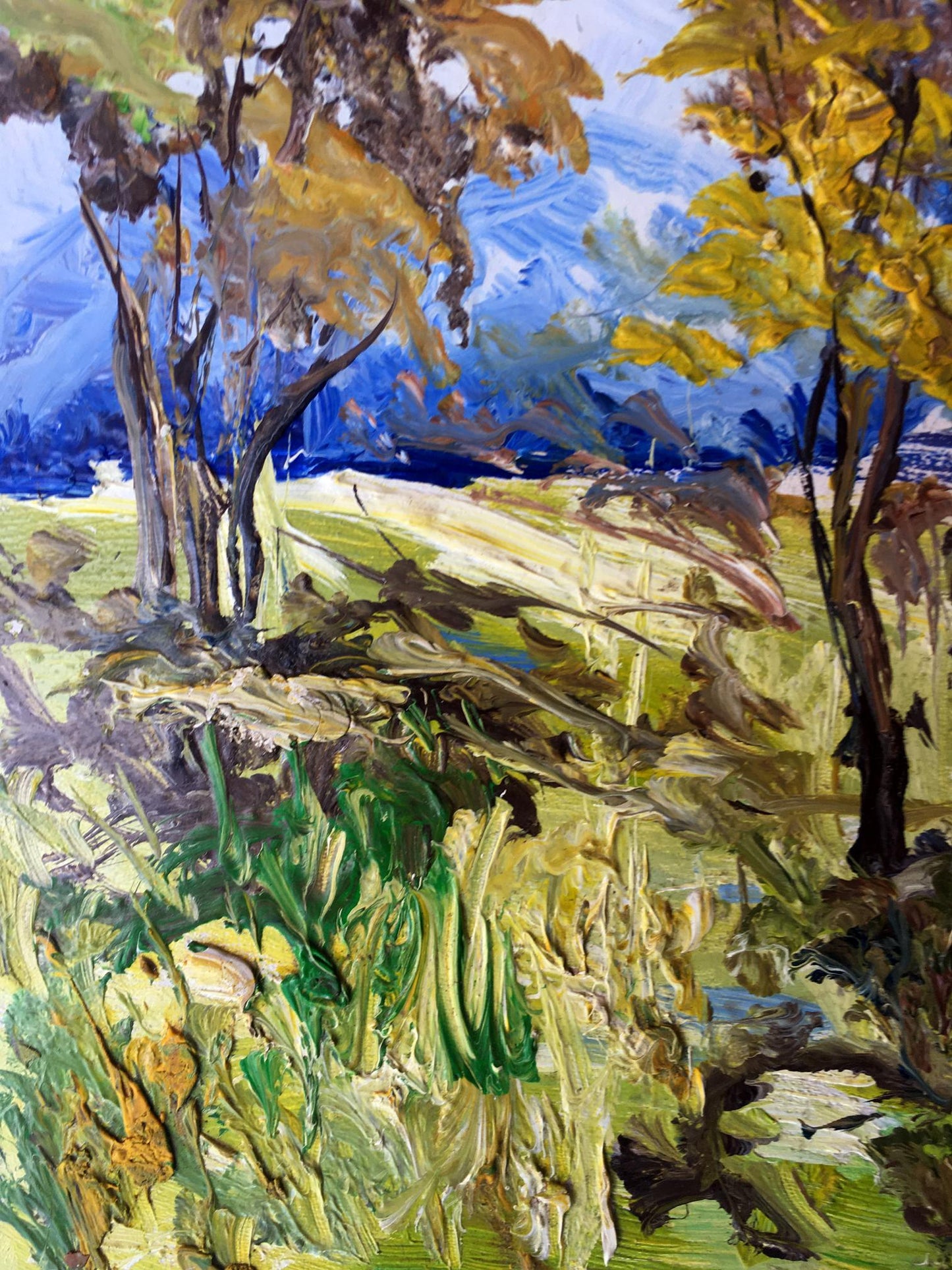 Oil painting Rest at nature Unknown artist