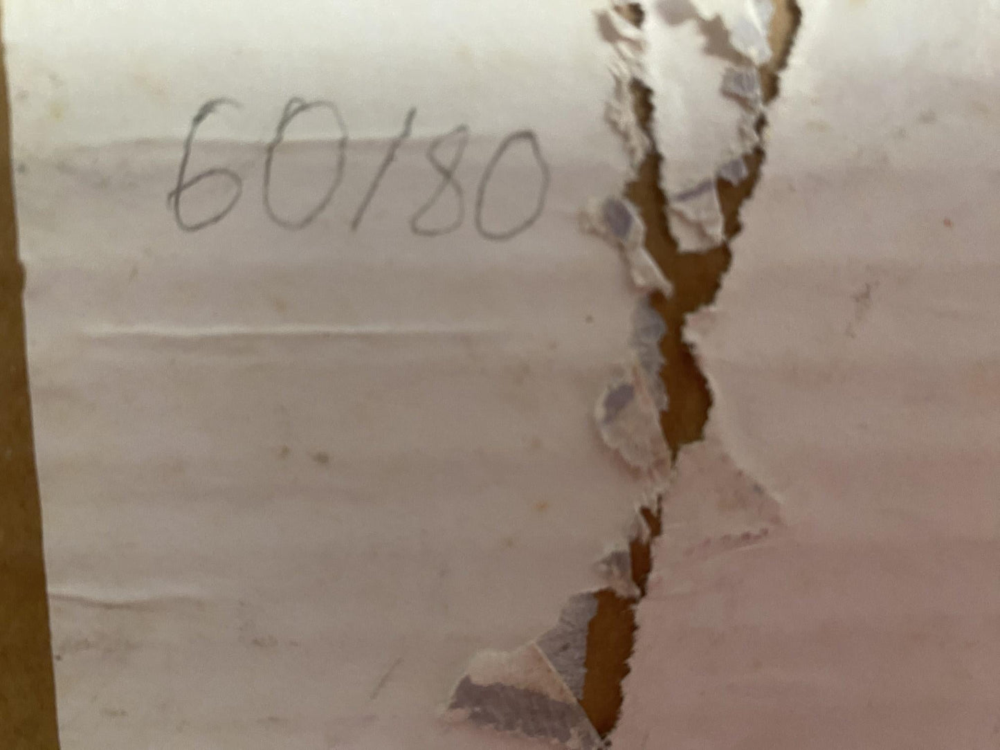 Oil painting Portrait of two naked girls Nikolai Nikolaevich Prokopenko