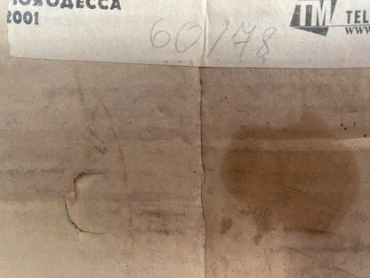 Oil painting Portrait of a girl Nikolai Nikolaevich Prokopenko