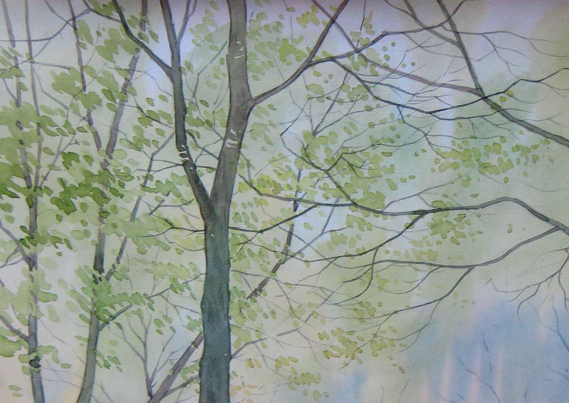 Watercolor painting Nature Landscape Savenets Valery