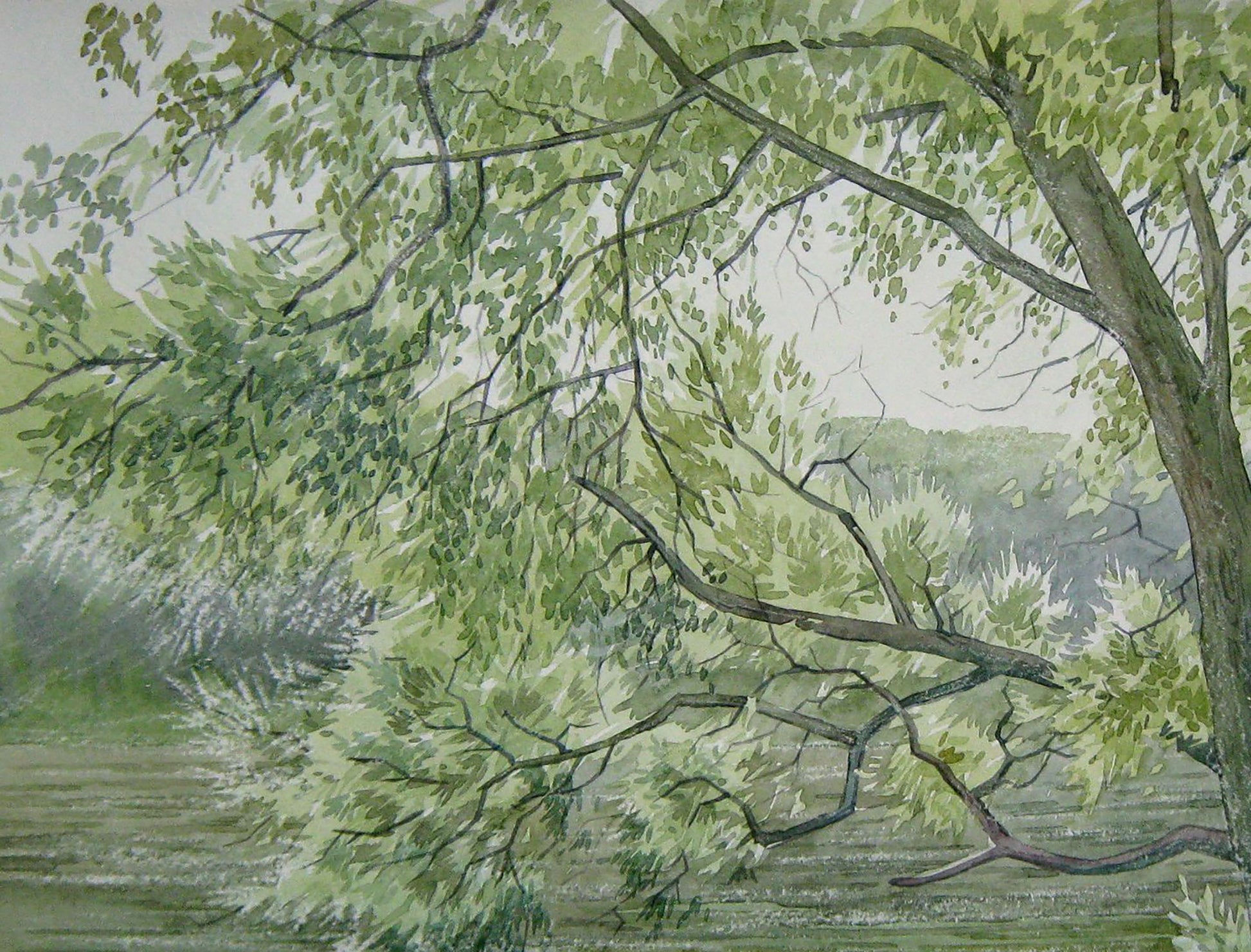 Watercolor painting Nature Landscape Savenets Valery