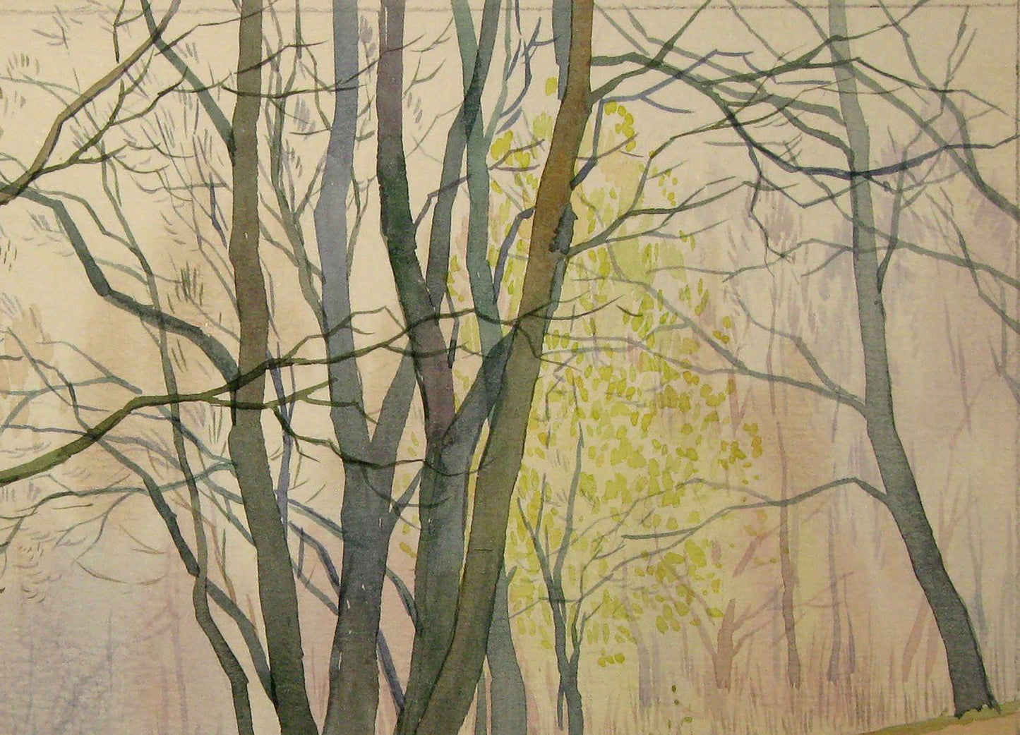 Nature Forest landscape