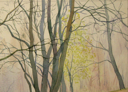 Nature Forest landscape