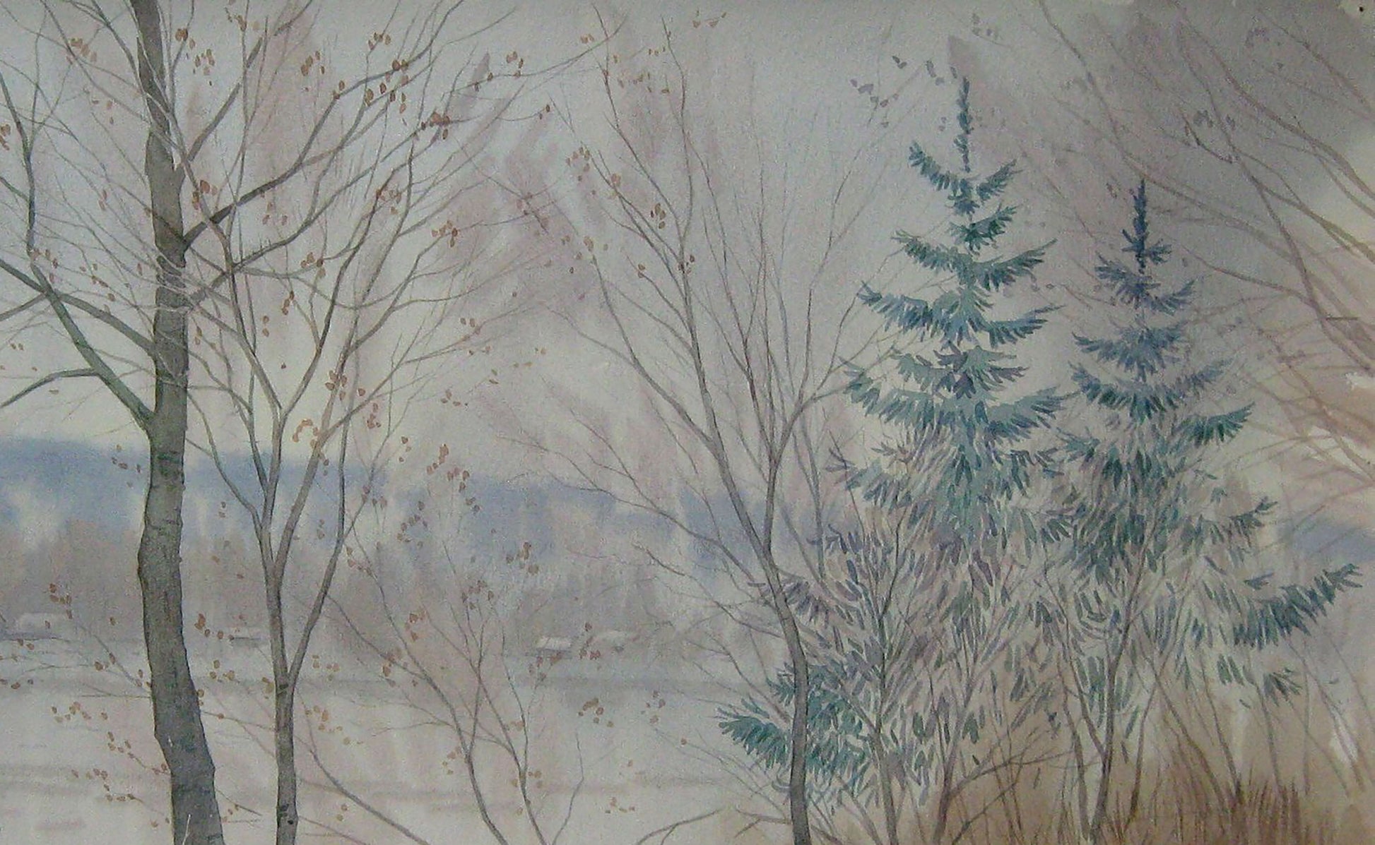 Winter Nature Landscape 