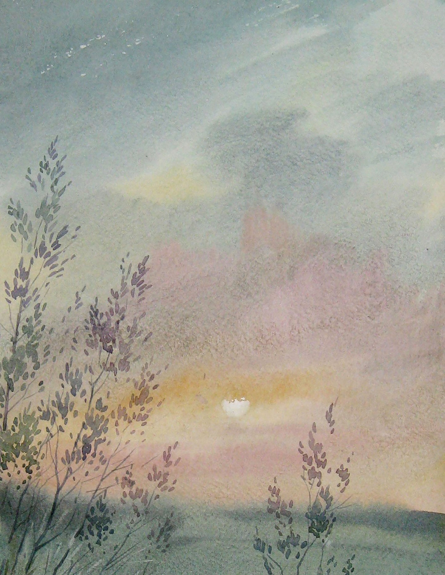 River Nature Landscape 