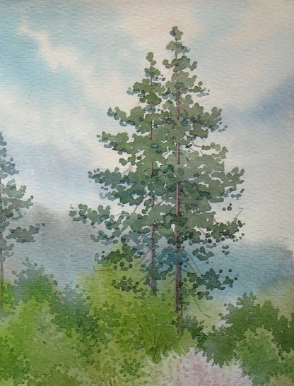 Spring Nature Landscape 