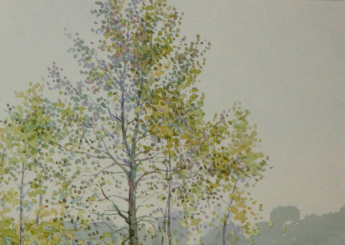 Autumn Nature Landscape 