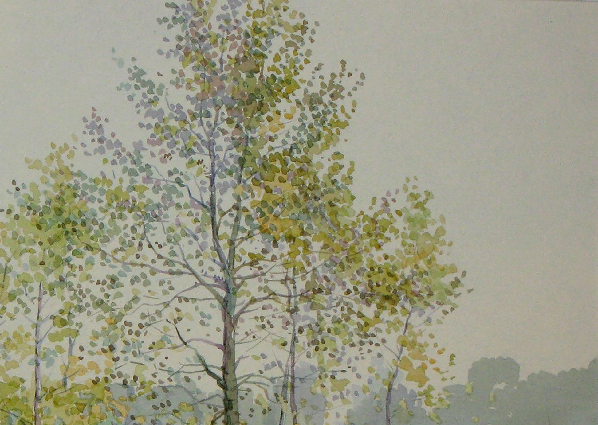 Autumn Nature Landscape 