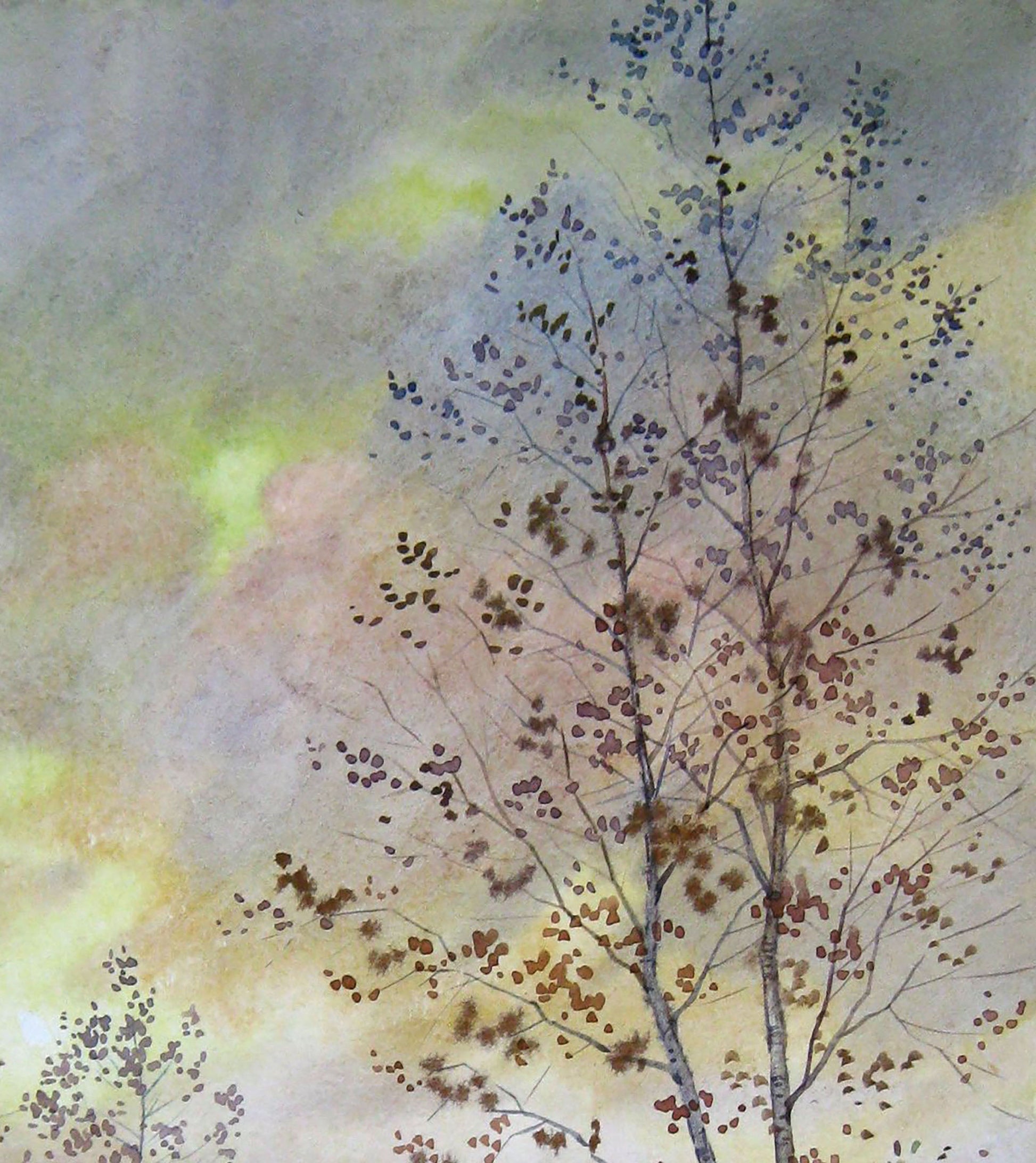 Autumn Nature Landscape 
