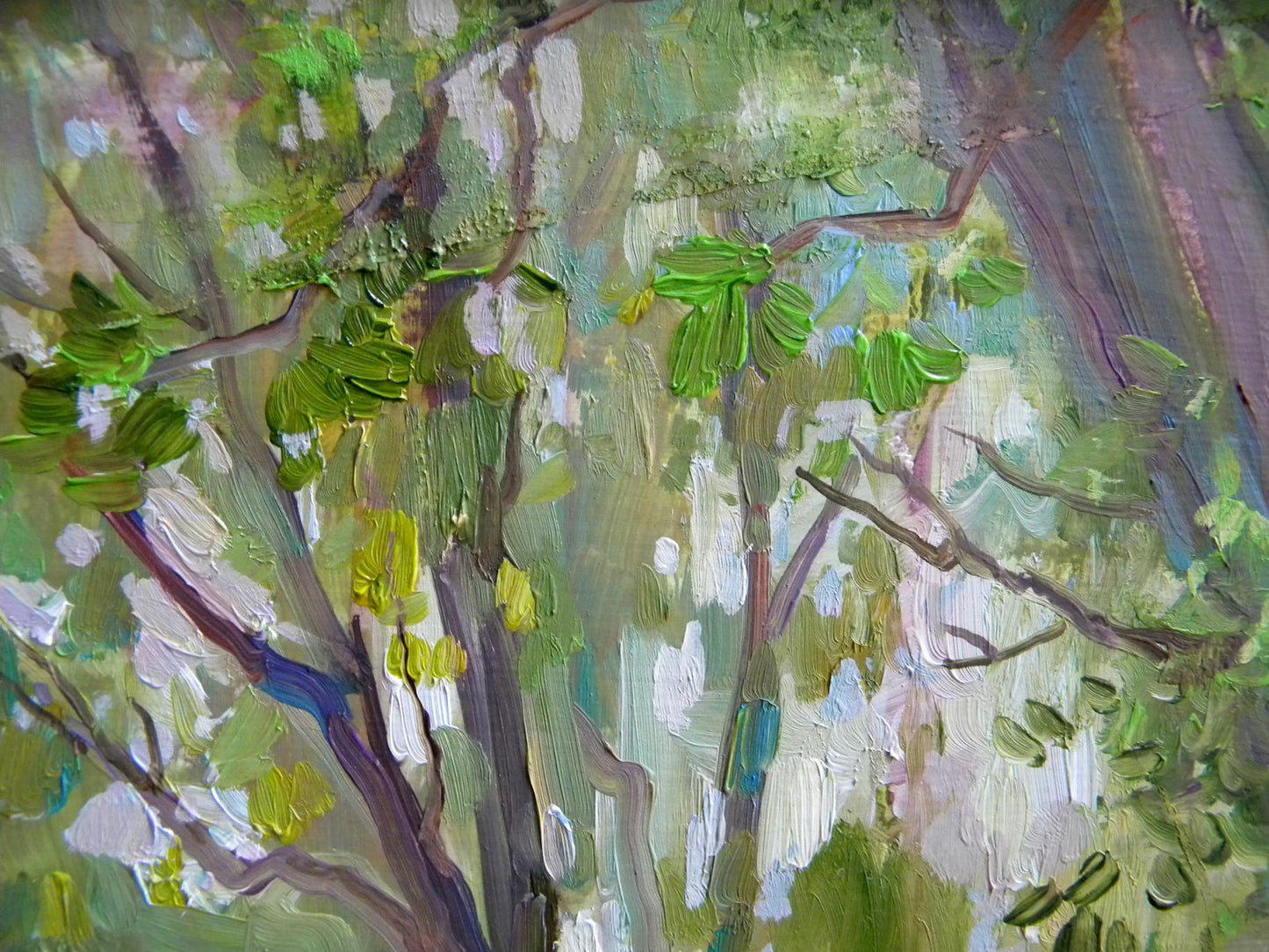 Oil painting Near the lake Anatoly Kymnatny