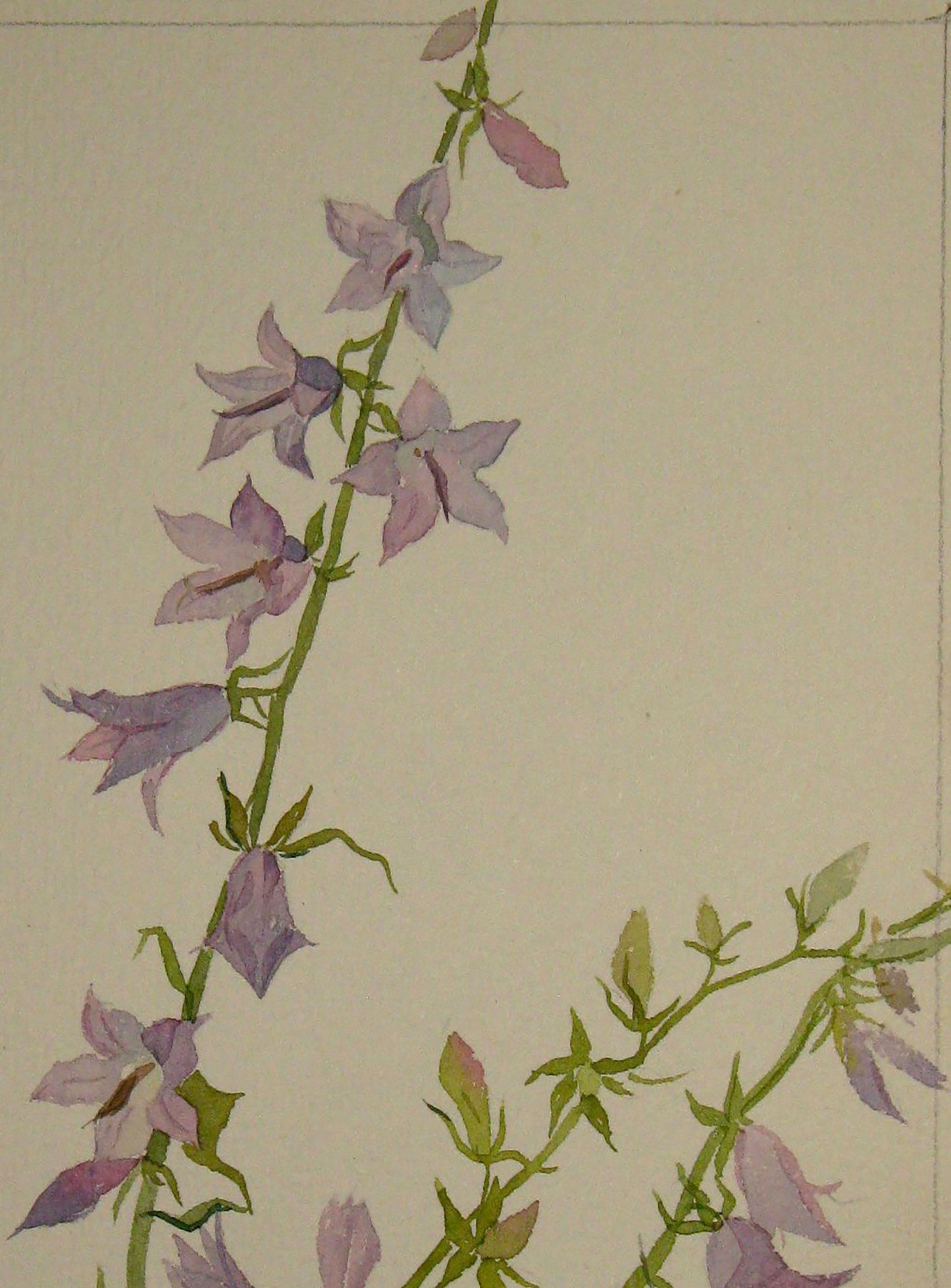 Painting with Flowers