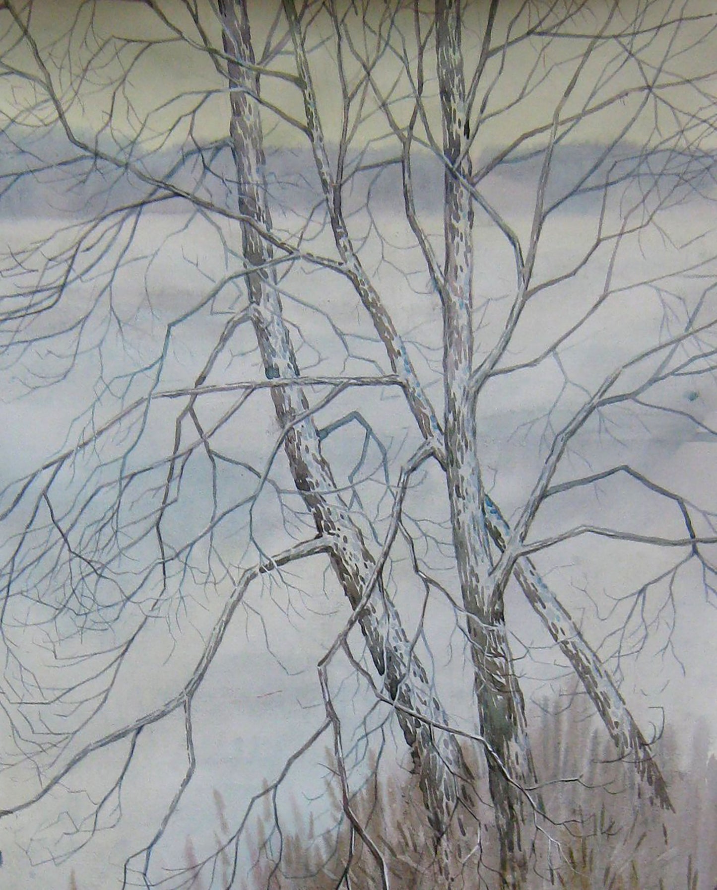 Winter Nature Landscape 