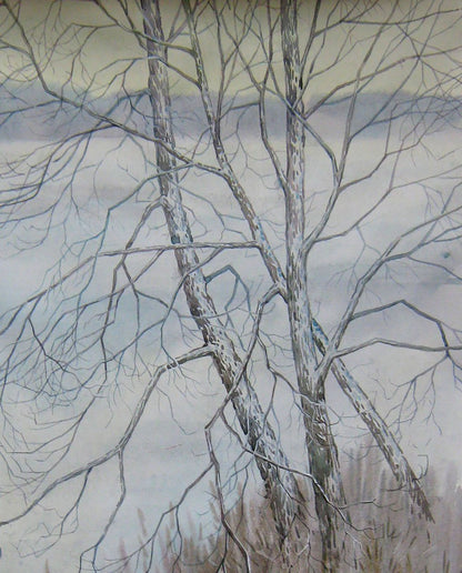 Winter Nature Landscape 