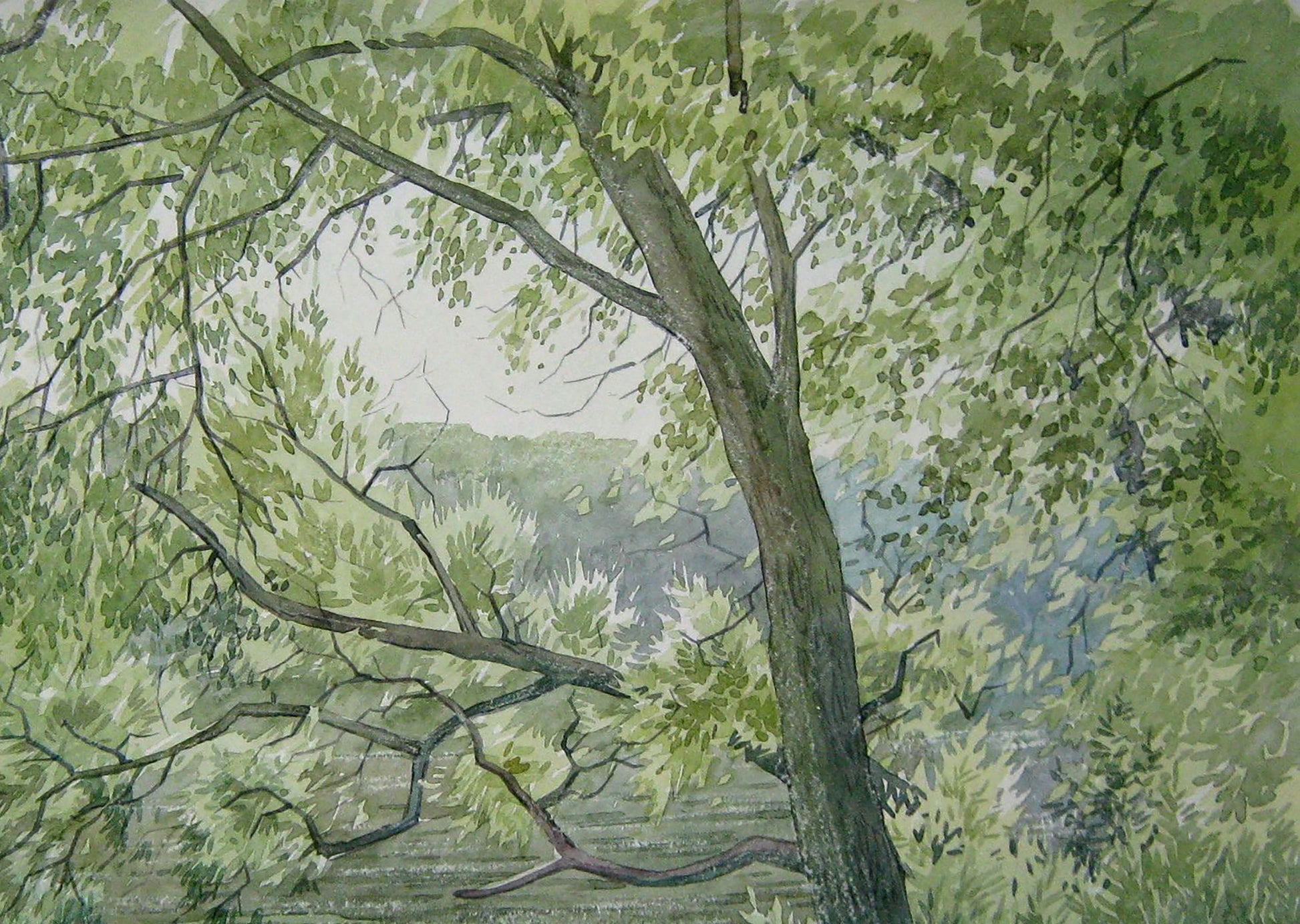 Watercolor painting River Nature Landscape 