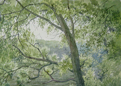 Watercolor painting River Nature Landscape 