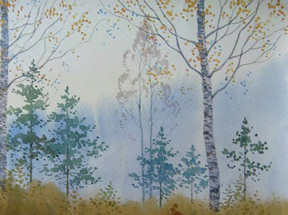 Forest Nature Landscape 