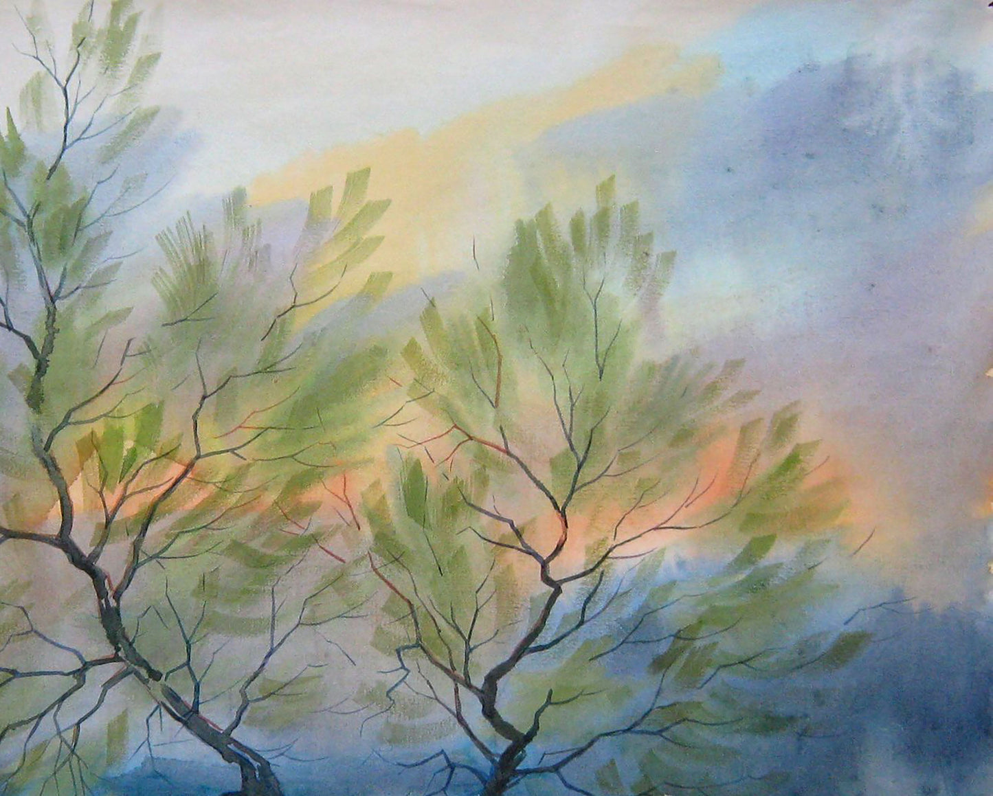 Rural Nature Landscape 