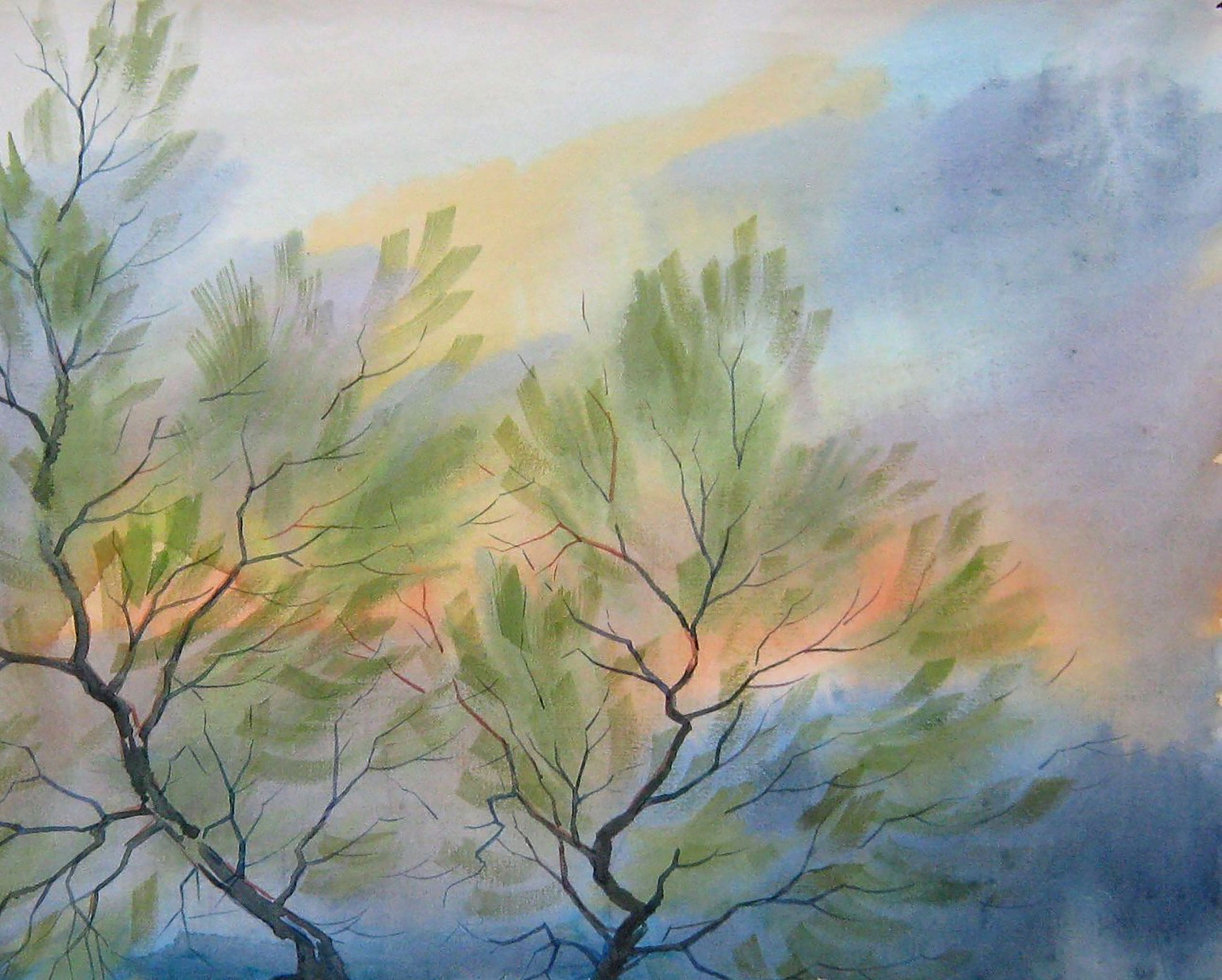 Rural Nature Landscape 