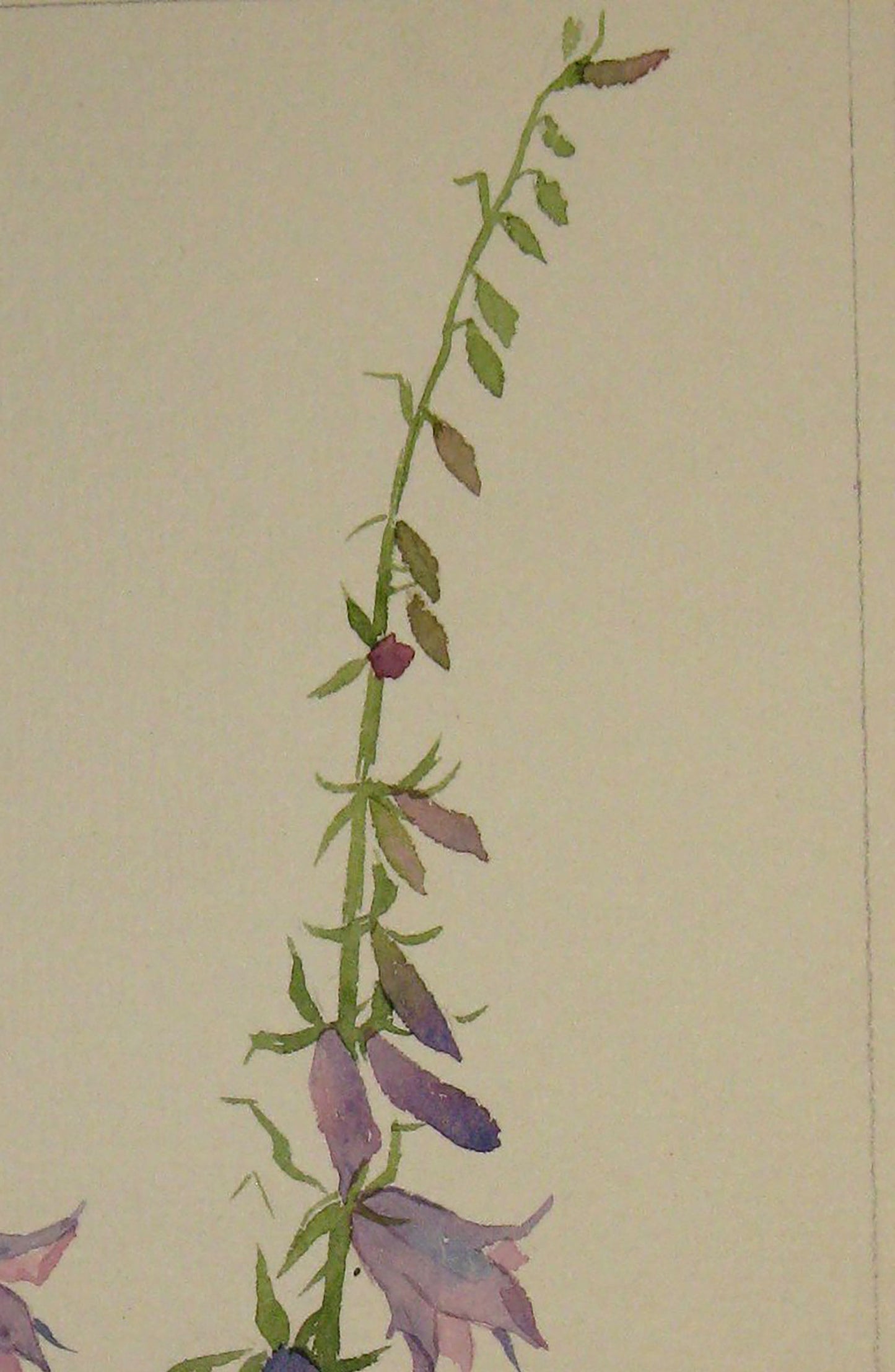 Painting with Flowers