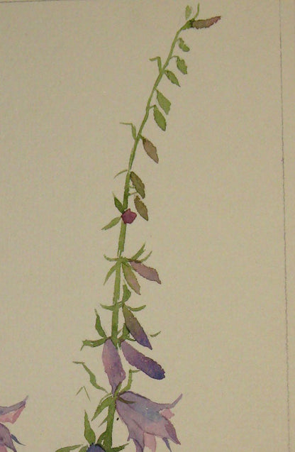 Painting with Flowers